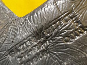 WYGŁUSZENIE BŁOTNIKA LEWY PRZÓD MERCEDES W213