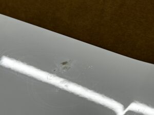 KLAPA TYLNA TYŁ KOMPLETNA PEUGEOT 3008 II P84 EWP