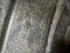 NADKOLE TYŁ TYLNE LEWY LEWE RANGE ROVER VELAR L560