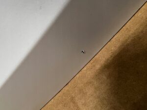 KLAPA TYLNA TYŁ KOMPLETNA PEUGEOT 3008 II P84 KWE