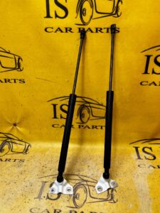 KOMPLET SIŁOWNIKI TELESKOPY KLAPY BAGAŻNIKA TYŁ DACIA SANDERO III 3