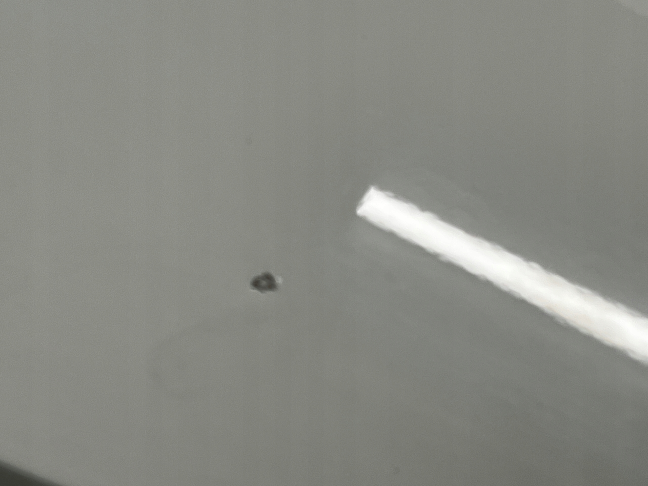 KLAPA TYLNA TYŁ KAMERA RENAULT MEGANE IV RS HB KPN