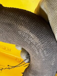 RURA RURKA PRZEWÓD WĄŻ WODY UKŁADU CHŁODZENIA AUDI SQ7 Q7 4M0 4.0 TDI