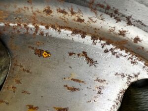 KOŁO ZAMACHOWE FORD FUSION LIFT USA 2.0 ECOBOOST