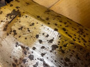 KATALIZATOR CITROEN PEUGEOT 1.6 THP 5G01 10FJCC