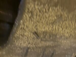 FORD C-MAX MK2 ZWROTNICA PIASTA PRZEDNIA LEWA