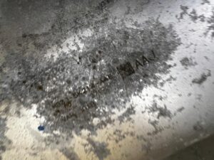 UKŁAD RURA WYDECHOWY WYDECH KOŃCOWY FORD BRONCO 2.7 V6 ECOBOOST 21-