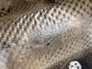 BLACHA OSŁONA TERMICZNA DACIA DUSTER II 2