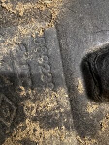 PŁYTA OSŁONA PODWOZIA RENAULT ESPACE VI AUSTRAL