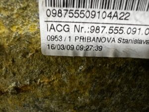 SUFIT PODSUFITKA CZARNA PORSCHE 987 CAYMAN