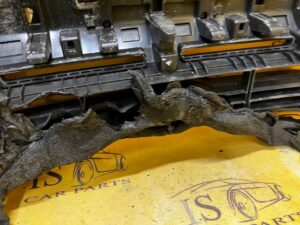 ATRAPA GRILL CHŁODNICY FORD RANGER MK5 V