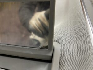 NOWA PODSUFITKA SZYBERDACH PANORAMA SOLAR AUDI A8 D5 LONG 2TG