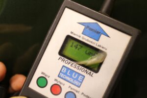 DRZWI PRAWA STRONA PRAWY PRZÓD TYŁ FORD KUGA MK3 LIFT BURSTING GREEN 2024R