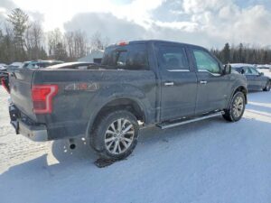 PAKA SKRZYNIA ŁADUNKOWA BŁOTNIKI TYŁ LEWY PRAWY FORD F150 2015-2017 G1 USA