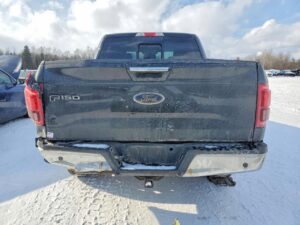 PAKA SKRZYNIA ŁADUNKOWA BŁOTNIKI TYŁ LEWY PRAWY FORD F150 2015-2017 G1 USA