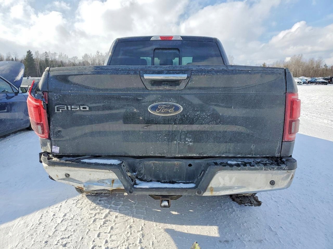 PAKA SKRZYNIA ŁADUNKOWA BŁOTNIKI TYŁ LEWY PRAWY FORD F150 2015-2017 G1 USA