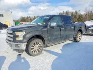 PRZÓD ZDERZAK MASKA BŁOTNIKI LAMPY FORD F150 2.7 ECOBOOST 2016R G1 USA XLT