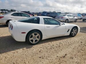 KLAPA TYŁ TYLNA BAGAŻNIKA EMBLEMAT CHEVROLET CORVETTE C5 97-04 COUPE TARGA